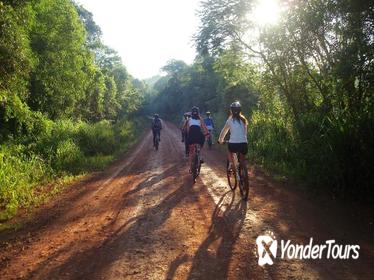 Iguazú Bike Tour to the Yaguarundi Road from Puerto Iguazú