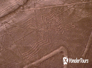 Nazca Lines Air Tour and Ballestas Islands Full-Day Trip from Lima