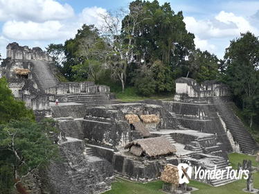 Tikal Day Tour