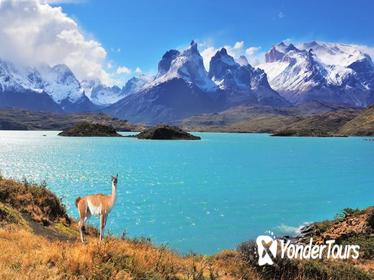 Full-Day Tour of Torres del Paine National Park from Puerto Natales