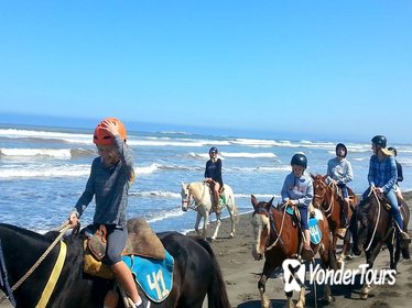 ViÃƒÂ±a del Mar and Valparaiso Private Tour Including Horseriding
