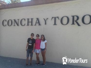 Concha & Toro Vineyard