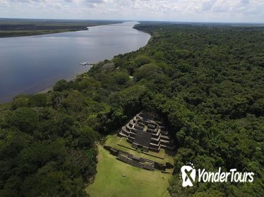 Lamanai Maya Temple and Baboon Encounter from Belize City