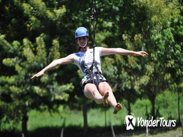 Zipline, Monkey & Parrot Watching, and Beach Resort Relaxation on Roatan Island