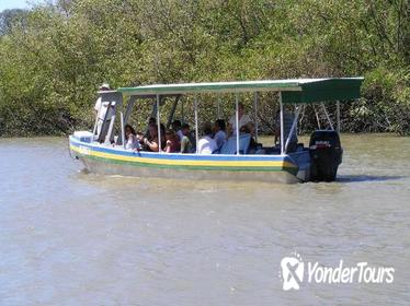 Palo Verde National Park and Coffee Tour