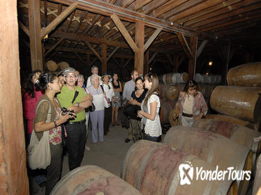 Semi-Private Premium Wine Tour at Santa Rita Winery