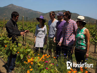 Emiliana Vineyards Organic Tour