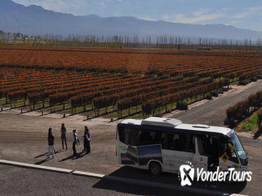 Mendoza Hop-On Hop-Off Wine Tour