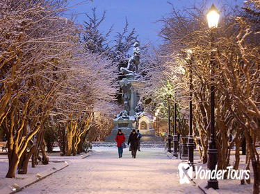 Punta Arenas City Tour