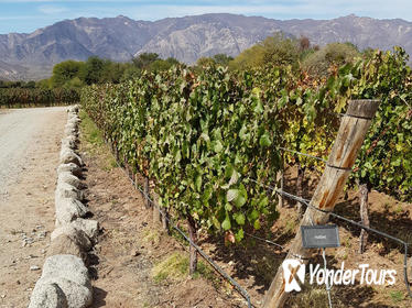Cafayate Luxury tour Cafayate Luxury tour
