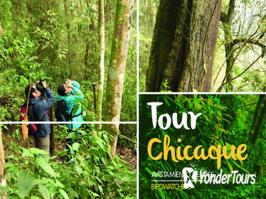 Full-Day Tour: Chicaque Park, Cloud Forest -Bird Watching-