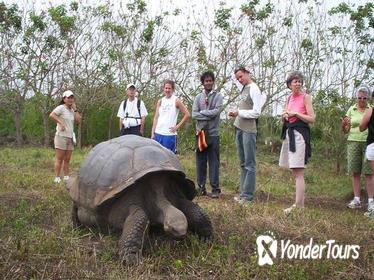 7-Day Tour of Galapagos and Quito Including Hotel and Transfers