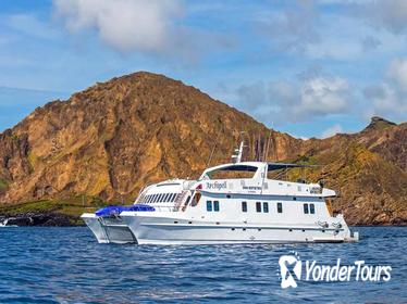 Galapagos Island Cruise: 4-Day Tour Aboard the 'Archipel I'