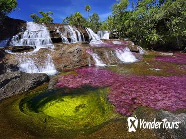 3-Day CaÃƒÂ±o Cristales (Rainbow River) from Bogotá