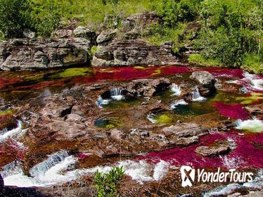 CaÃƒÂ±o Cristales 4-Day Tour from Medellin