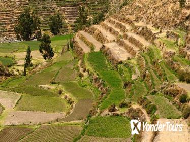 Private Tour: Arequipa Countryside Tour Including Sabandia Mill and Founder's Mansion