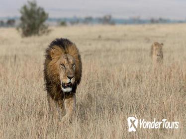 Classic Tanzania Safari