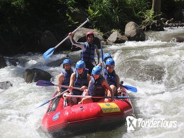 Bali White Water Rafting - Telaga Waja River