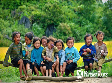 Sapa Trekking 2 days 1 night group tour with homestay and day bus from Hanoi