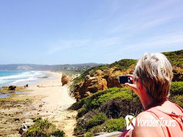 One Day Great Ocean Road Tour