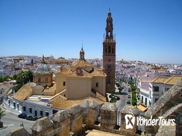 Private Full Day Tour of Carmona and Seville from Seville