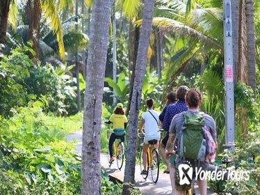 Cycling in Bangkok (5 hrs)