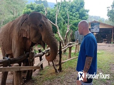 Elephant Sanctuary in Chiang Mai